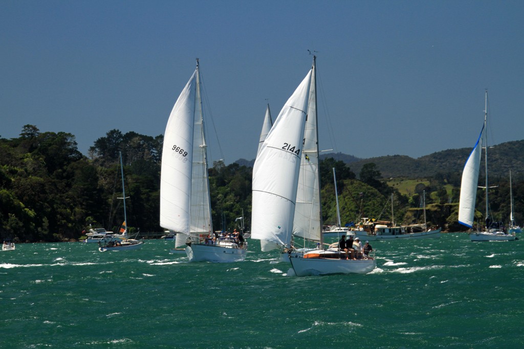 The Start -  Tall Ships and Classics regatta in the Bay of Islands © Steve Western www.kingfishercharters.co.nz